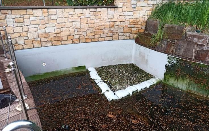 Derselbe Naturstein-Pool vorher — dicke Laub- und Schlammschicht auf dem Boden