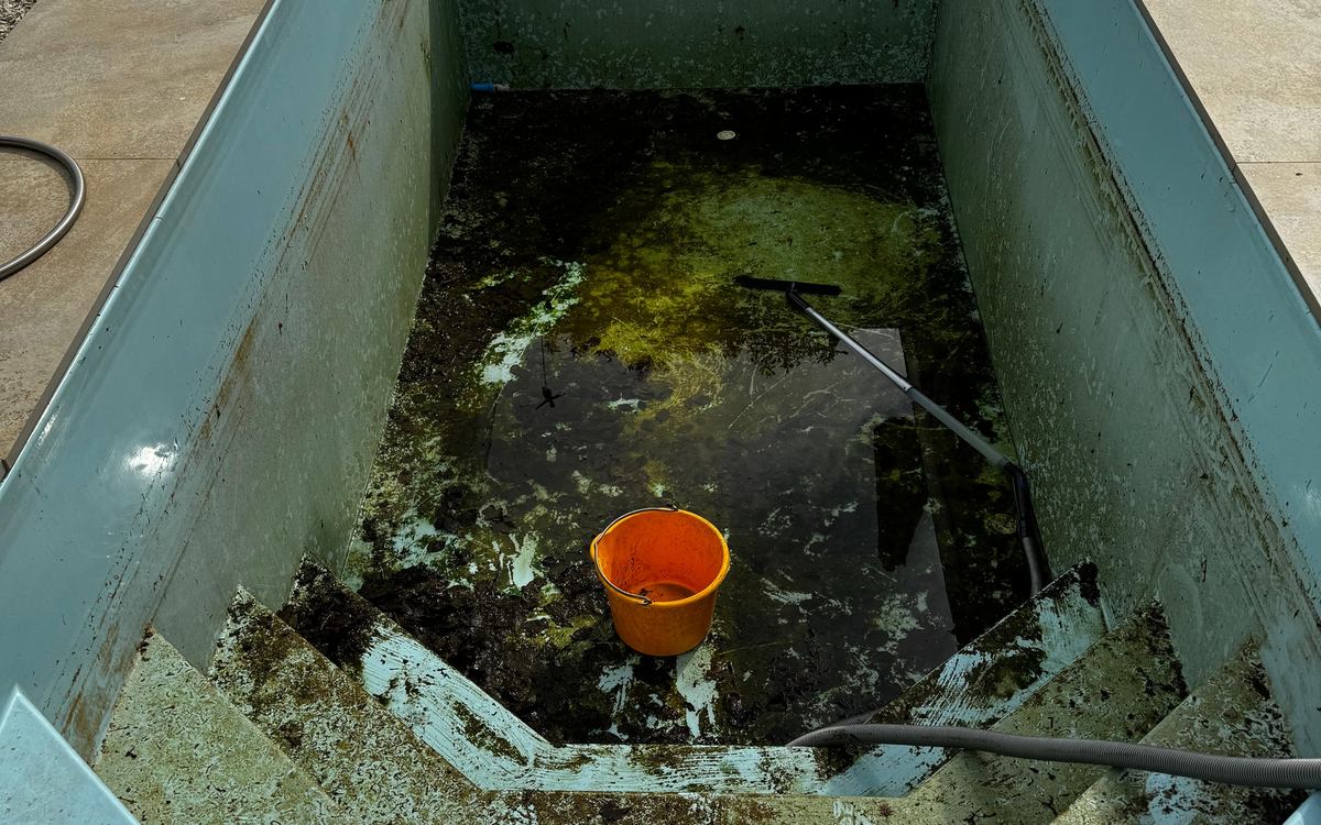 Leeres Poolbecken mit schwarzgrünem Algenschlamm auf Boden und Stufen